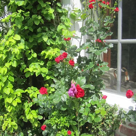 Σπίτι διακοπών Historische Orangerie *