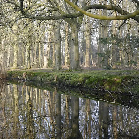 Historische Orangerie Σπίτι διακοπών *
