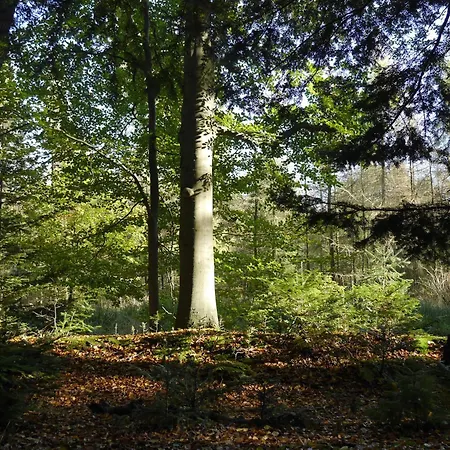 Historische Orangerie Σπίτι διακοπών Hage
