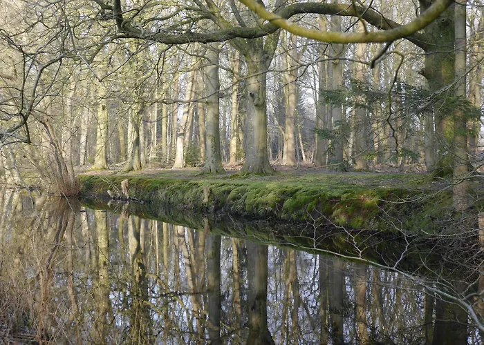 Historische Orangerie Feriehus *