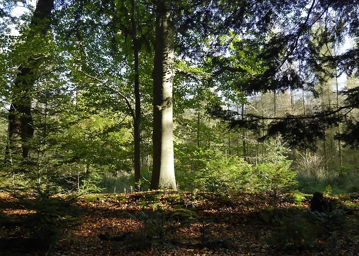 Historische Orangerie Feriehus Hage